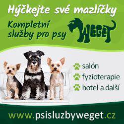 Wellness pro psy